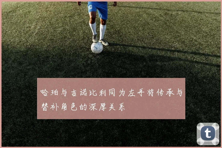 哈珀与吉诺比利同为左手将传承与替补角色的深厚关系