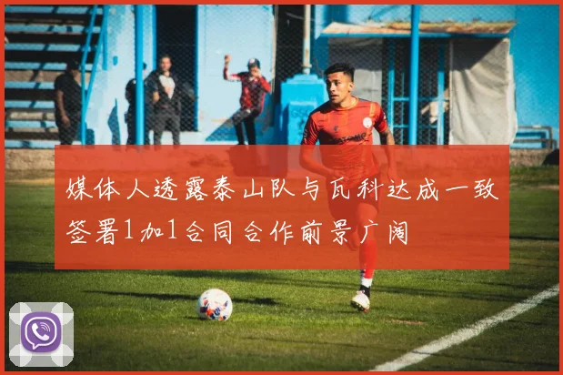 媒体人透露泰山队与瓦科达成一致签署1加1合同合作前景广阔
